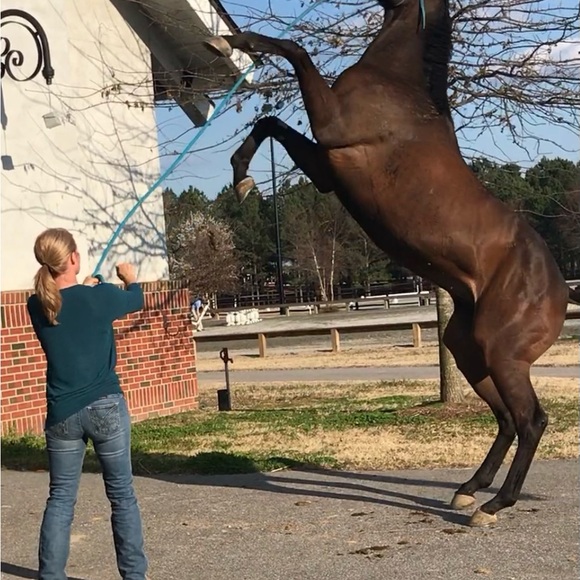 Live Join Now Share Show No Theme - Picture 5 of 13